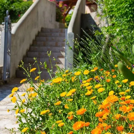 House Meri Miholascica