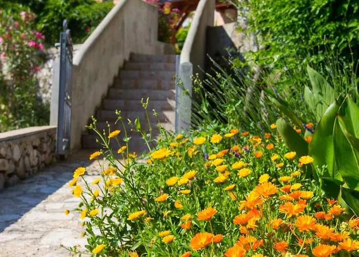 House Meri Miholašćica